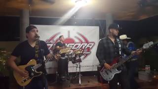 Compadre del alma - Bronco