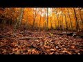 Irene Skylakaki - In the light 