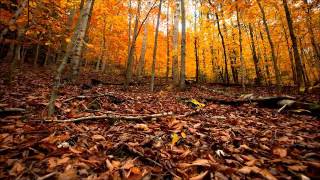 Irene Skylakaki - In the light