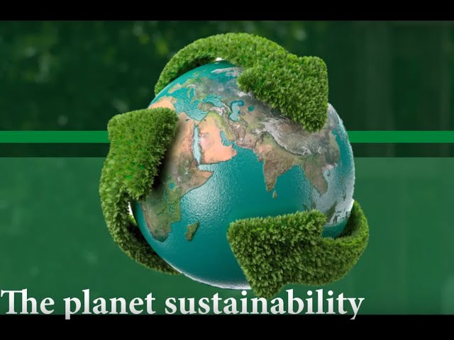 imagem ilustrativa da atividade