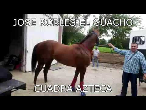 Jose Robles El Guacho - Alfredo Sanchez y su Cuadra Azteca (Corrido Oficial)