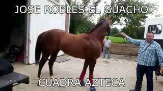 Jose Robles El Guacho - Alfredo Sanchez y su Cuadra Azteca (Corrido Oficial)