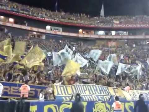 "Rayados cagón" Barra: Libres y Lokos &bull; Club: Tigres