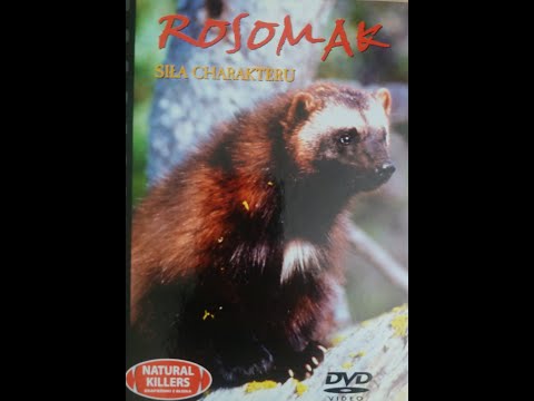 Natural Killers. Rosomak - siła charakteru