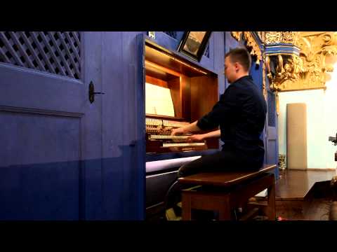 Prezentacja organów Świętolipskich | Patryk Balukiewicz
