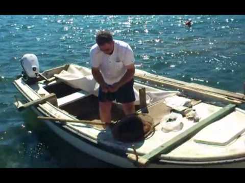 zasto uvik pivan-bralic