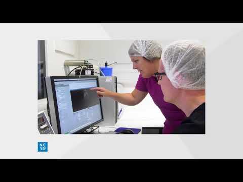 The 3Rs. Their definition, application and importance to your work