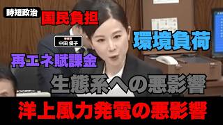 【参政党】洋上風力発電の悪影響【時短政治】
