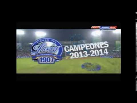 Los Tigres del Licey se coronan campeones 2013-2014
