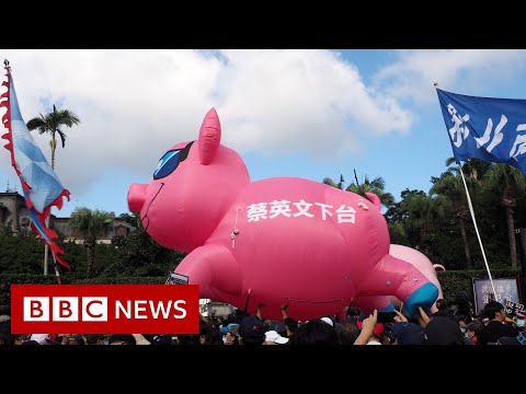 台湾の抗議者が米国産豚肉の輸入に反対して行進 - BBC News (Taiwan protesters march against US pork imports - BBC News)