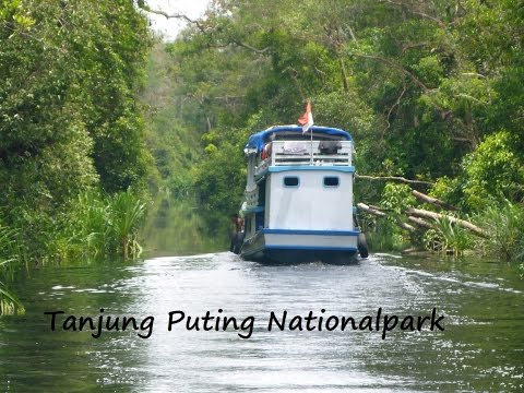 Reiselust-Fernweh 2016 -3 Tage Tanjung Puting Nationalpark- RF-Entertainment