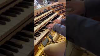 Pierre Cochereau's 100th Birthday - 6 - Aaron Schmidt (DE)