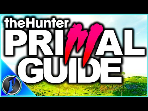 theHunter Primal | How to Get It + A Working Save File Guide!