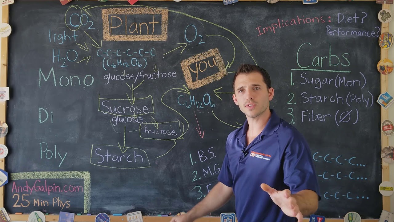 Carbs vs Fats - Clarifying the Confusion: 25 Min Phys