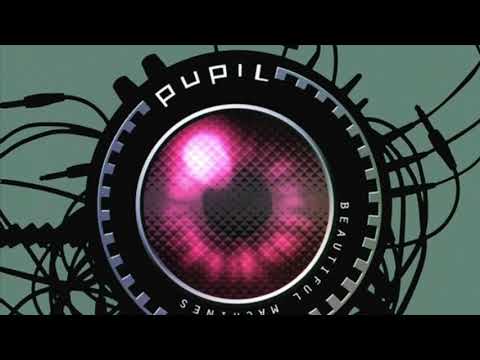Lost Guide - Pupil