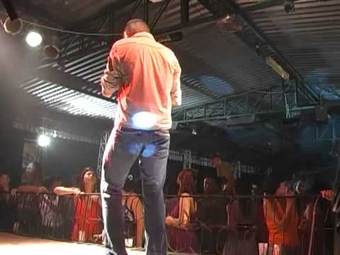 Dorge de salgueiro - FLERTANDO