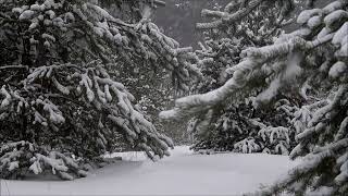 Download lagu The Beauty Of Existence | ❄️ Snowing ❄️ | Hamoud Al Qahtani mp3