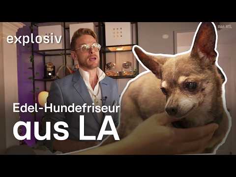 16.000 Dollar für die perfekte Hundekette! | Explosiv – Das Magazin