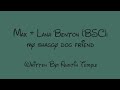 Max Lana Benton BSC My Shaggy Dog Friend