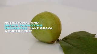 Guava