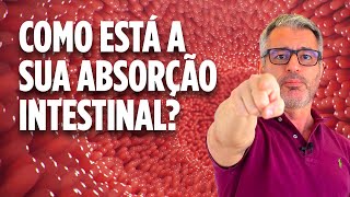 Síndrome disabsortiva: o que é e como tratá-la