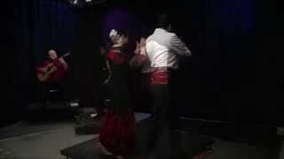 "Fiesta" Traditional Bulerias, "El Arte Flamenco"