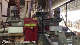 MÁY ĐÁNH TUPI CNC 2 trục woodmaster