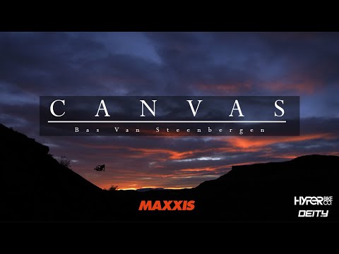 Bas Van Steenbergen - Canvas