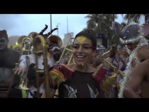 Desfile Bloco Amigos da Onça - Carnaval 2018