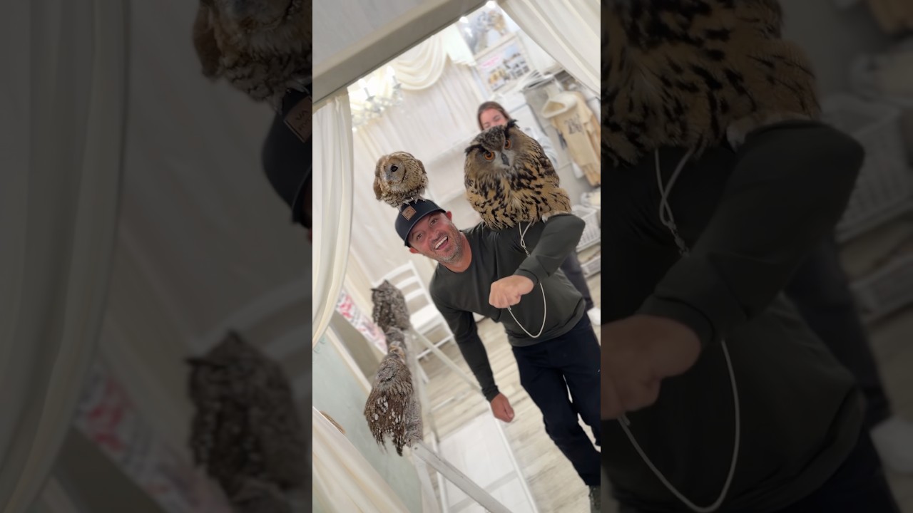 🦉🌈 Welcome to #owlcafe #tokyo .#akihabara #japantravel #owl #animalwelfare