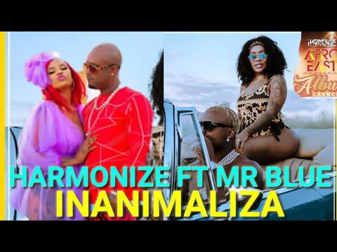 Harmonize Ft Mr Blue -Inanimaliza (Official Music Video)AfroEast Album