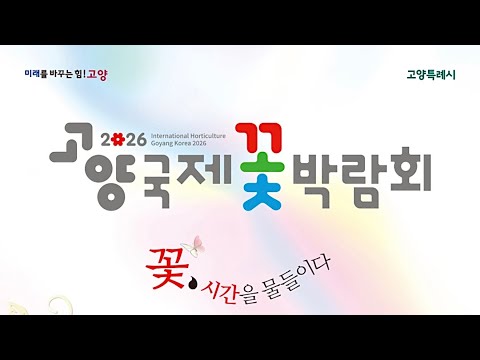 비디오 8