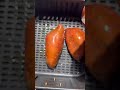 Air Fryer Baked Sweet Potato #shorts