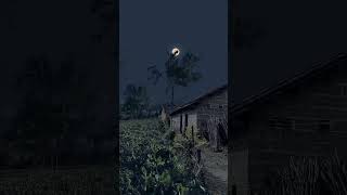 Download lagu Snap wa lagu noah menunggu pagi mp3 Download lagu Snap wa lagu noah menunggu pagi mp3