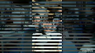 RADIO FISH【last number】feat中元日芽香