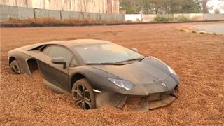 10 Outrageous Things You'll Only See In Dubai