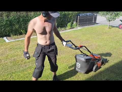 Ta bort ogräs i gräsmatta med mossrivare (elkratta)