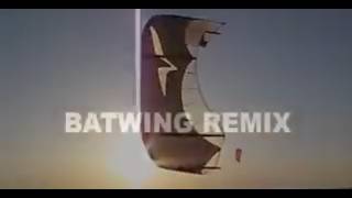 Holy Batwings! Batman!