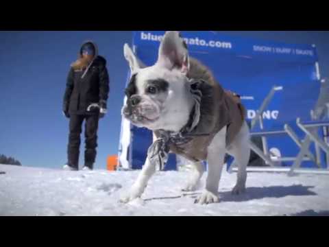 Blue Tomato Girls Day Hochkönig - 24 03 2018 - Freeski Edit