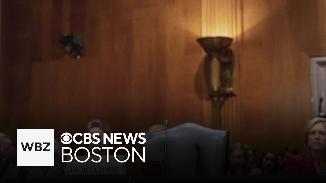 Lawmakers to vote on holding Steward CEO in contempt of Congress after missing hearing and more top