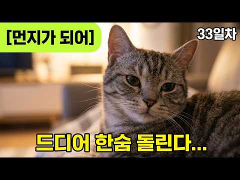 간만에 한 숨 돌리는 날ㅣ집 나간 언니들 집에 오던날