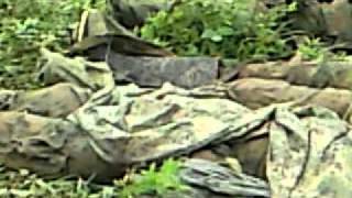 preview picture of video 'soldados muertos atacador 4 julio 2010'