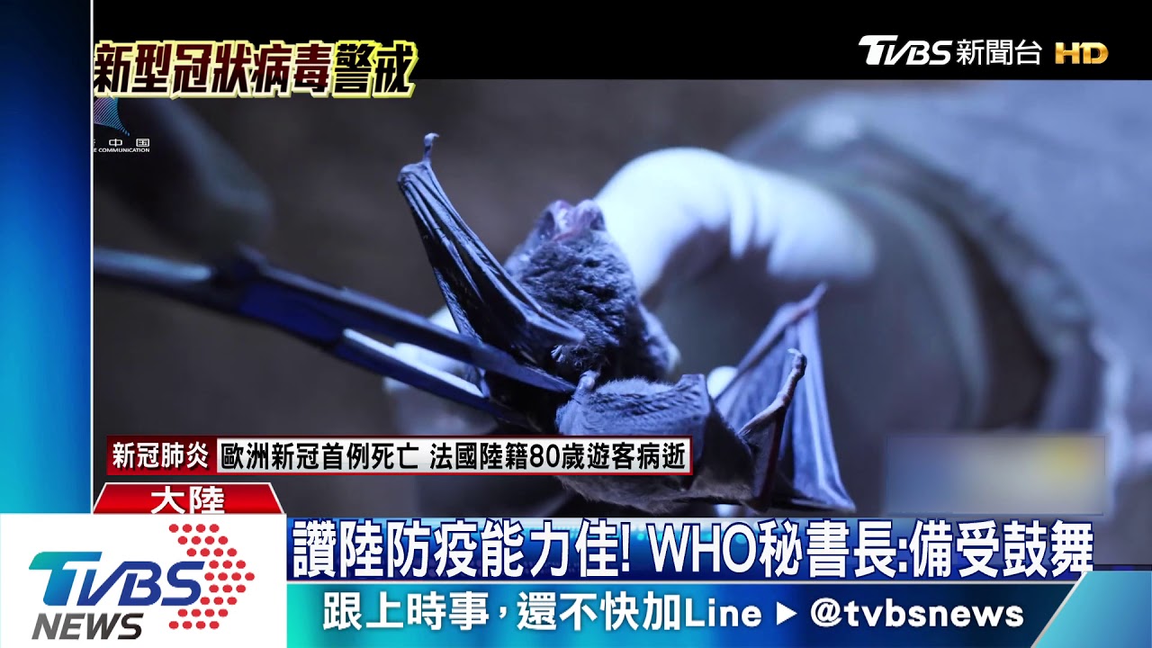 華南市場旁有蝙蝠實驗室 陸學者:疑病毒洩漏
