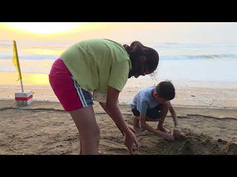 We are on the beach⛱️