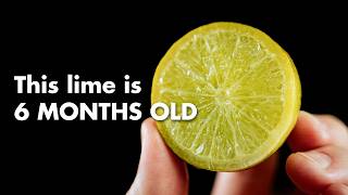 When Life Gives You Old Limes, Make Cocktails