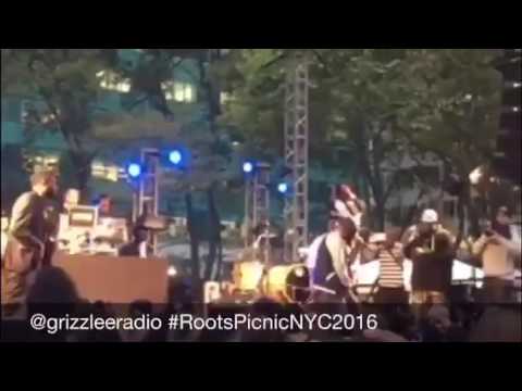 Roots NYC Picnic 2016