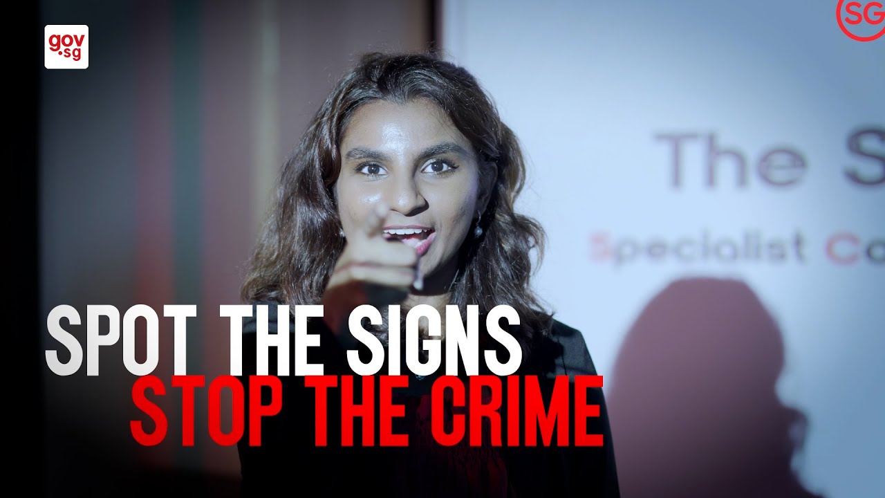 The School of Scammers: A Phishing Journey