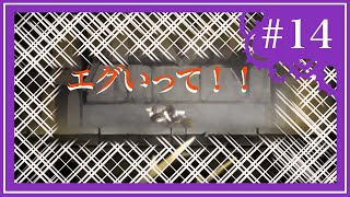 【謎解き＆幼女】-ロゼと黄昏の古城- #14 一番嫌な死に方じゃん。。。[黒糖のゲーム実況]