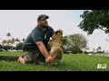 Jimmy S Return To Gator Rescues Gator Boys
