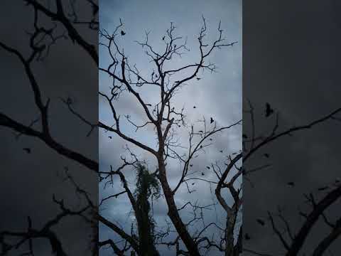 Nature at best..shot by Nitika..